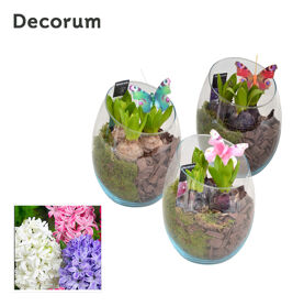 Hya Hl11173 Glas Oblique