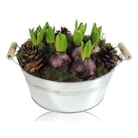 Opm Rs-005025 Hya Zink Schaal