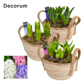 Hya Hl13783 Mand Met Hengsels