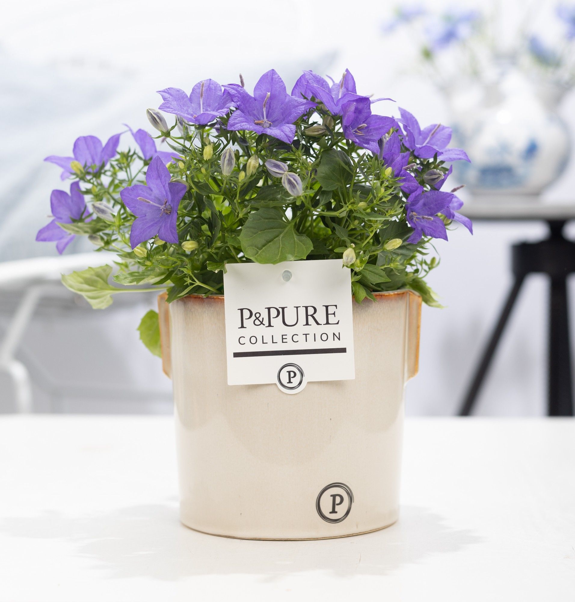 Camp Iso Napoli Keramiek Clay Lavender