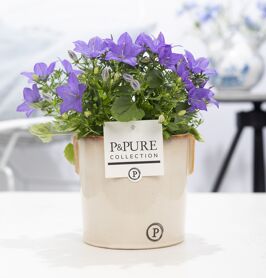 Camp Iso Napoli Keramiek Clay Lavender