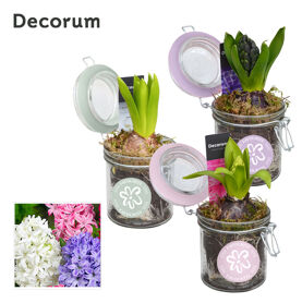 Hya Hl13040 Weckpotje