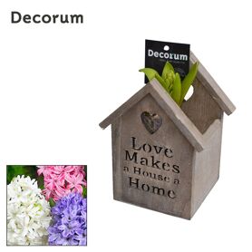 Hya Hl11650 Hout Lovely Home