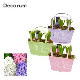 Hya Hl12763 Zink Colourful Basket