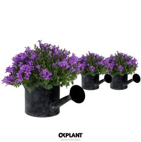 Camp Addenda Ambella Intens Purple Zink Gieter