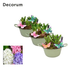 Hya Hl10573 Zink Emaille