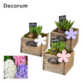 Hya Hl10753 Wooden Drawer