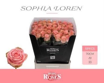 Rose Sophia Loren