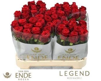 Rose Red Naomi