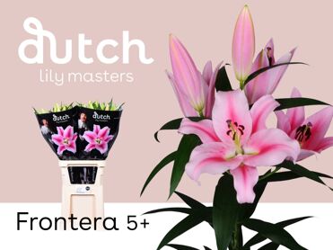 Lily Ot Frontera