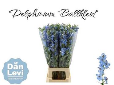 Delphinium Simple Ballkleid