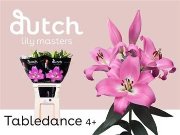 Lys Ot Tabledance
