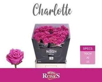 R Gr Charlotte