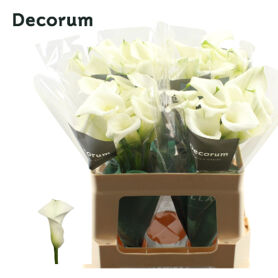 Calla Crystal Blush