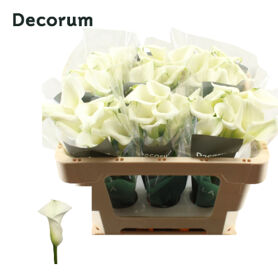 Calla Crystal Blush
