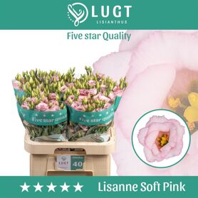 Eust G Lisanne Soft Pink