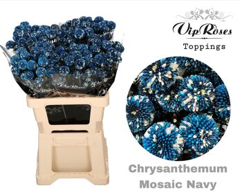 Chrysant Mosaic Navy