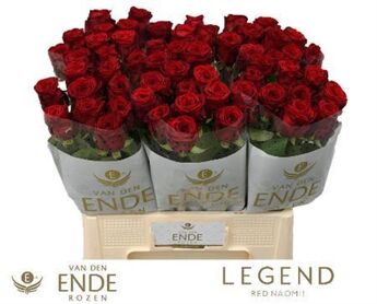 R Gr Red Naomi V/d Ende