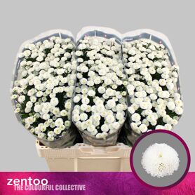 Chrysant Santini Pizarro