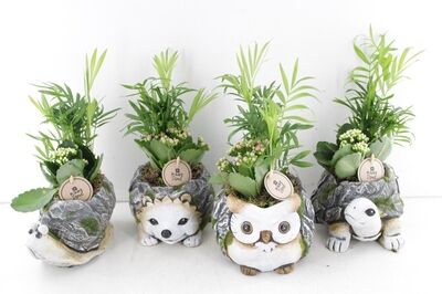 Arr2 Pl Ker. Luxe Dieren Mix X4