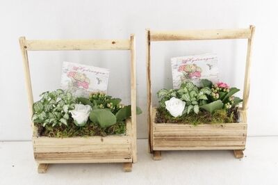 Arr2 Td Hout Vat Met Hengsel - Mix