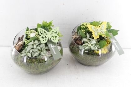 Arr2 Mb Halve Maan Glas -geel/wit