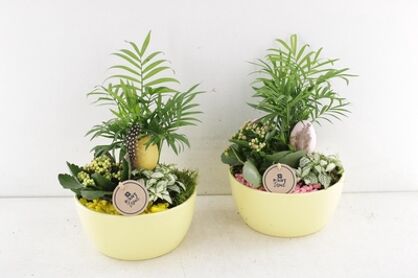 Arr2 Pl Ker. Schaal Soft Yellow - Roze/geel