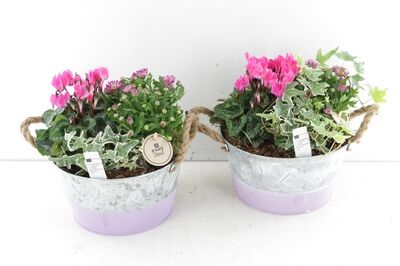 Arr6 Outdoor Pl - Zink Rond Lila Vlinder