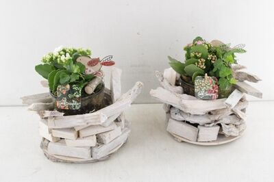 Arr2 Mb Glas Pot In Hout Planter