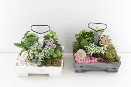 Arr2 Pl Etagere Vierkant - Roze/wit