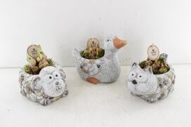 Arr4 Bollenmix Pl - Ker. Dieren Mix