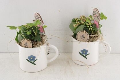 Arr2 Pl Ker. Kan Spring - Mix