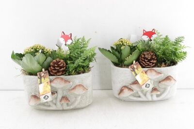 Arr2 Js - Cement Ovaal Paddenstoel 20x11cm