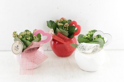 Arr2 Pl Pot Glossy Hart - Mix