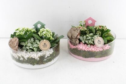 Arr2 Pl Cilinder Schaal Xl - Roze/wit