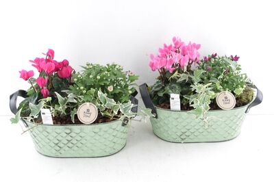 Arr6 Outdoor Pl - Zink Ruit Ovaal Groen