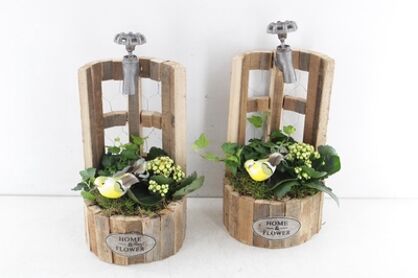 Arr2 Td Waterput - Geel/wit