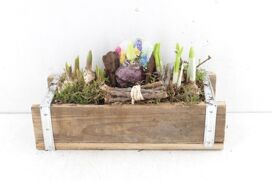 Arr4 Bollenmix Vv - Antiek Kist Midel