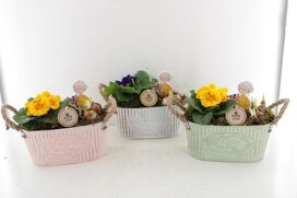 Arr6 Outdoor Pl - Zink Ovaal Vintage Colors