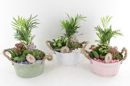 Arr2 Pl Zink Jardin Du Vintage - Mix
