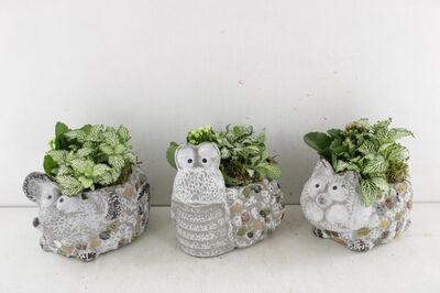 Arr2 Td Keramiek Dieren Mix