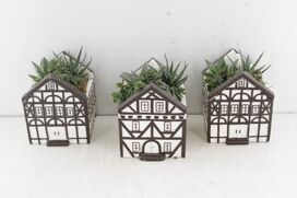 Arr3 Sn Huis Strassburg Plant Mix