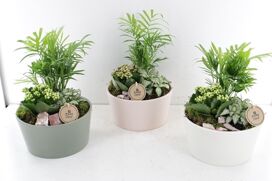 Arr2 Pl Ker. Schaal Pretty Pastel - Mix