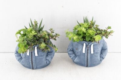 Arr3 Sn Ker. Hoodie Denim Blue Plant Mix