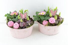Arr6 Outdoor Nve - Zink Lovely Pink