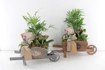 Arr2 Td Kruiwagen - Mix