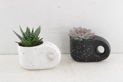 Arr3 De Truly Succulent - Ker. Modern Pebble
