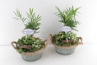 Arr2 Td Zink Rond Groen - Mix