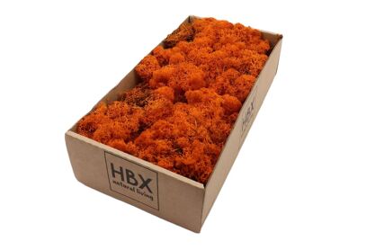 Moss Reindeer Moss 500gr Orange