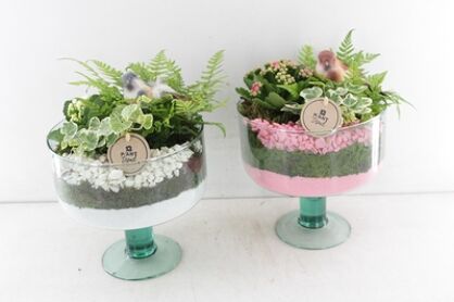 Arr2 Pl Glas Op Voet Sofia - Roze/wit